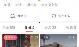 飞哥爆料视频在线观看,揭秘幕后真相，带你领略精彩瞬间