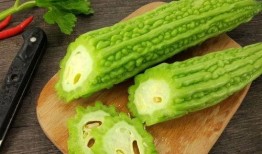 吃瓜道免费吃瓜,免费吃瓜背后的秘密与乐趣