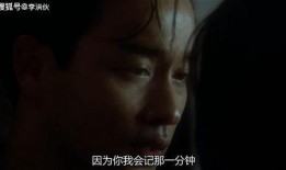 阿飞女友爆料视频大全,揭秘娱乐圈背后的真相